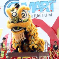MRTM CNY 2018 (7)